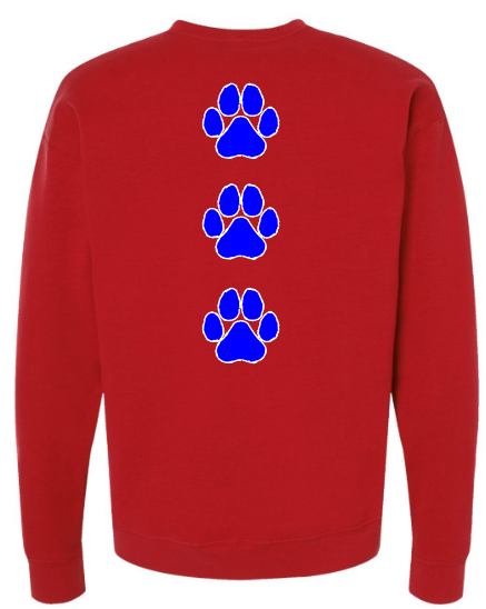 LIONS SPIRIT TEE WITH PAW PRINT BACK