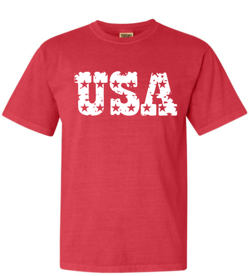 Pre-Order USA Comfort Color Tee